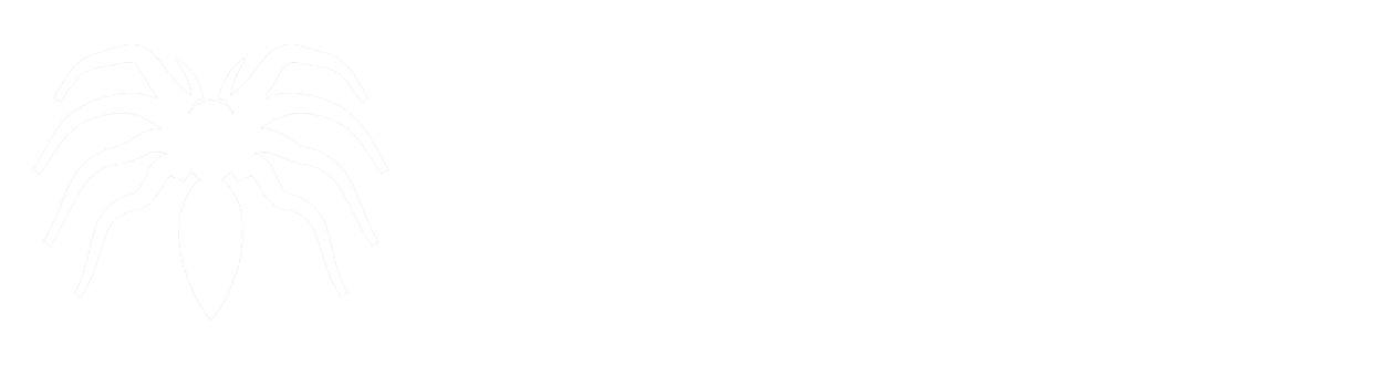 Spider Canada