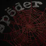 Spider Rhinestone Og Web V2 Hoodie Black, view 2