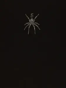 Spider Spider Embellished T-Shirt, front view