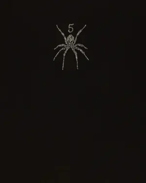 Spider Spider Embellished T-Shirt, front view