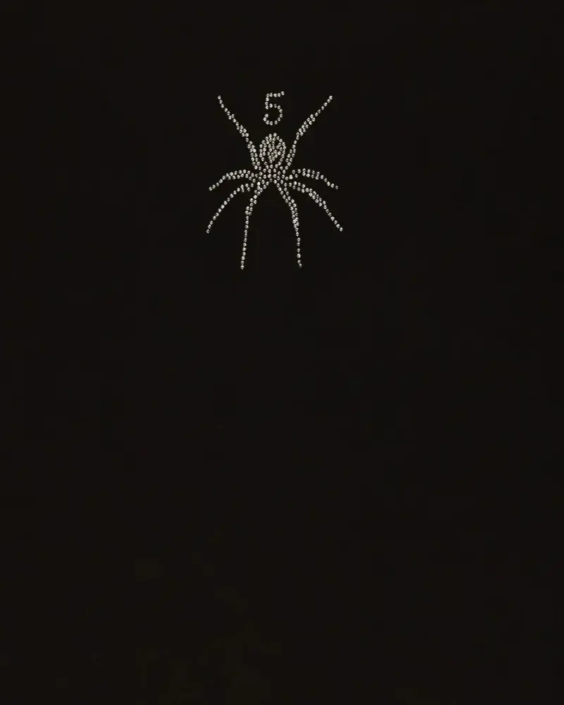 Spider Spider Embellished T-Shirt, front view